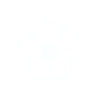 hs-movies flower japan sakura 白 Sticker