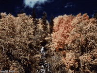 autumn 1950s GIF by History Colorado