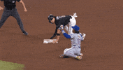 Francisco Lindor Baseball GIF by New York Mets