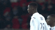ligue 1 soccer GIF by Toulouse Football Club