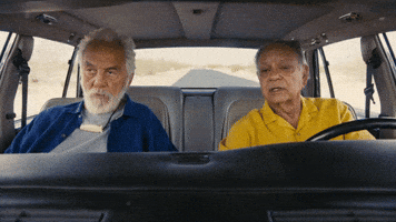 Cheech And Chong Smoke GIF by Cheech & Chong’s Last Movie