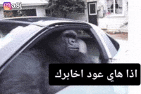 عود GIF
