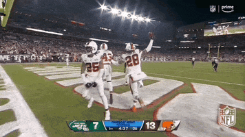 National Football League GIF by NFL
