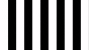 Celebration Goal GIF by SK Sturm Graz