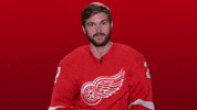 Red Wings Sport GIF by Detroit Red Wings