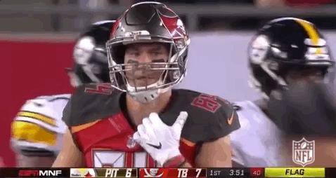 2018 Nfl Football GIF by NFL