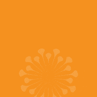 Chinese New Year Tiger GIF by Just Global