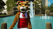 houstoncougars houston sasha gocoogs shasta GIF