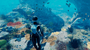 coral reef swimming GIF by Beyond Blue
