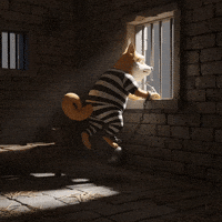 Sad Shiba Inu GIF by Doge Pound