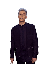 Peace V Sticker by The Voice Belgique