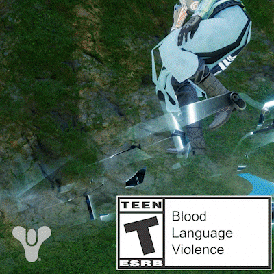 Destiny 2 GIF by DestinyTheGame