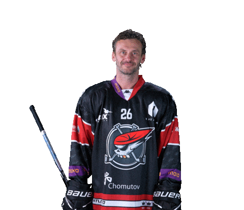 Hokej Sticker by Piráti Chomutov