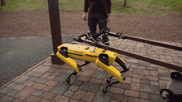 lvislizacev giphyupload GIF