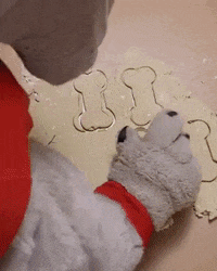 Baking Georgia Bulldogs GIF by University of Georgia