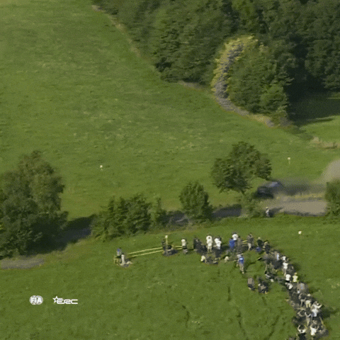 Crash Exit GIF by FIA European Rally Championship