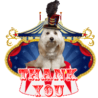 Circus Thank You Sticker by Pimp Yo Pets