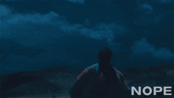 Jordan Peele GIF by NOPE