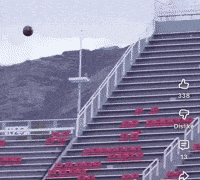 Utah Utes GIF