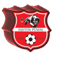 Football Womensfootball Sticker by Ashton Pumas Womens