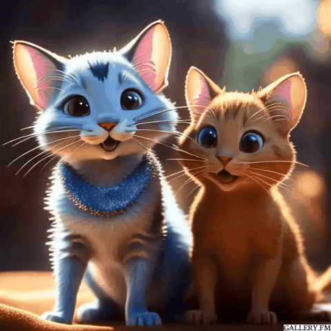 Clubhouse GIF by Gallery.fm