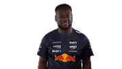Red Bull Sr Sticker by Oracle Red Bull Racing