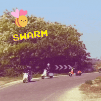 Italy Bee GIF by Vespa Club Verona