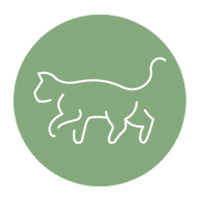 Happycat Sticker by NOVAFON