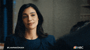 Episode 1 Reaction GIF by Law & Order