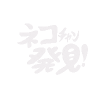 ねこ 猫 Sticker