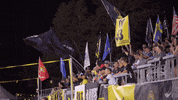 Usl Championship Football GIF by Charleston Battery