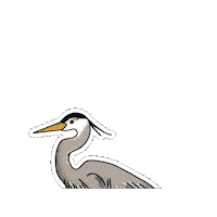 Bird Birding Sticker by Parks Conservancy
