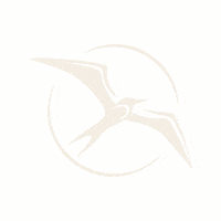 Marketing Publicrelation GIF by Bais Creative & Public Relations