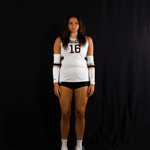 Volleyball Wvb GIF by Purdue Fort Wayne Athletics