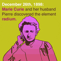 Marie Curie Fox GIF by Animation Domination High-Def