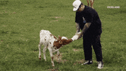 GIF by Dead Set on Life