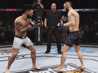 fight gameplay GIF by EA SPORTS UFC