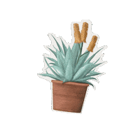 Houseplant Aloe Sticker by Hortusamsterdam