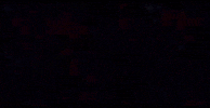 Ubisoft GIF by izzyjames