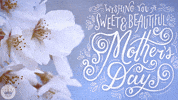 Text gif. Message in white stylized modern cursive lettering with elegant doodles and embellishments all around on a powder blue background with white flowers. Text, "Wishing you a sweet and beautiful Mother's Day."