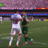 Sep Saopaulofc GIF
