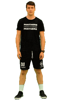Sport Facepalm Sticker by Panthers Praha