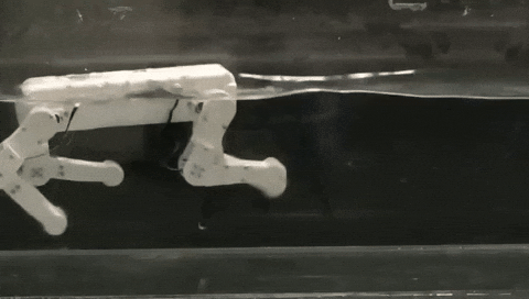 whatphilosophise giphyupload GIF