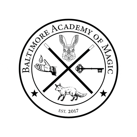 schoolofmagicarts giphygifmaker GIF