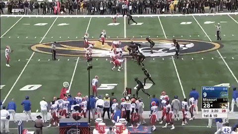 FantasyJimbo giphygifmaker missouri deep ball emanuel hall GIF