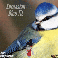GIF by Zhotcita
