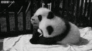 black and white love GIF