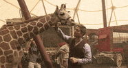 robert pattinson giraffe GIF by 20th Century Fox Home Entertainment