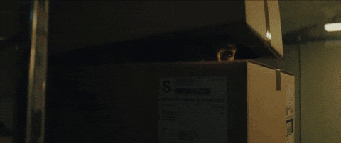 Lucy Liu Vibes GIF by The Avenue Film