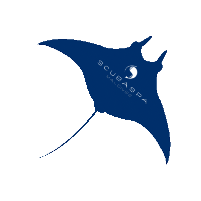 maldives Manta manta ray scubaspa Sticker